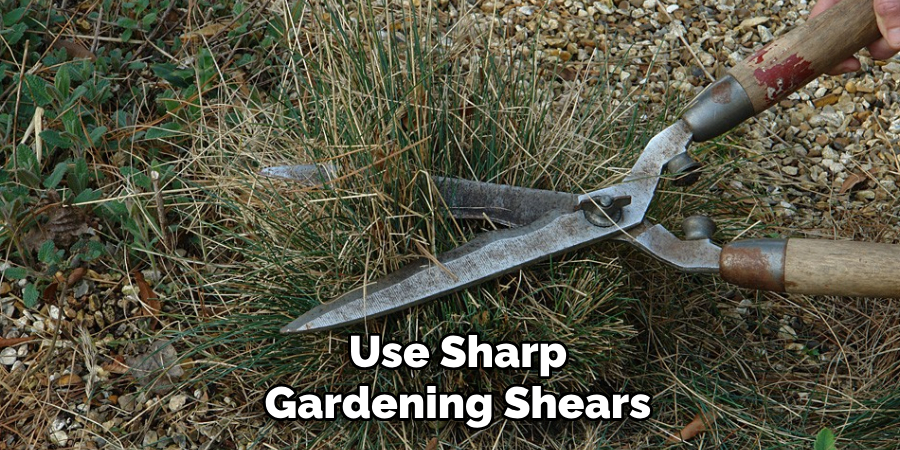 Use Sharp Gardening Shears