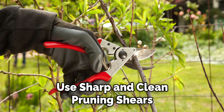 Use Sharp and Clean Pruning Shears