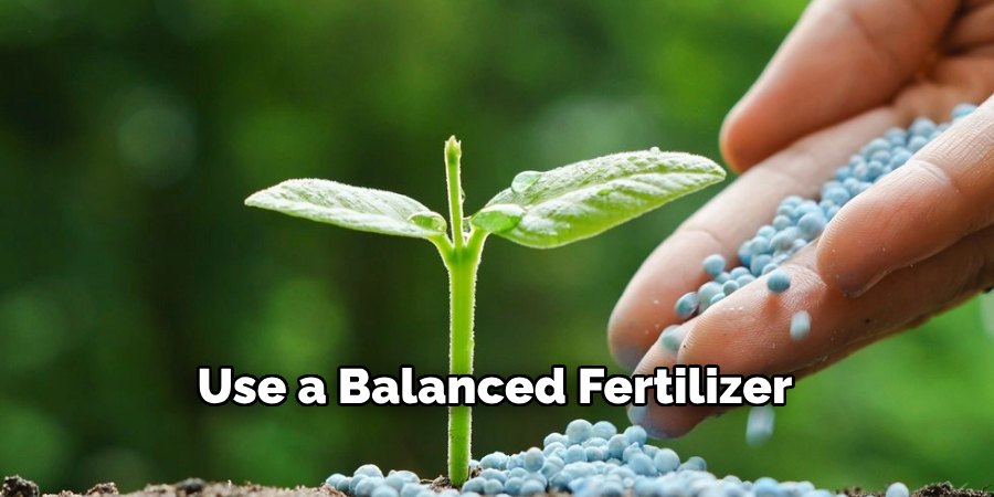 Use a Balanced Fertilizer