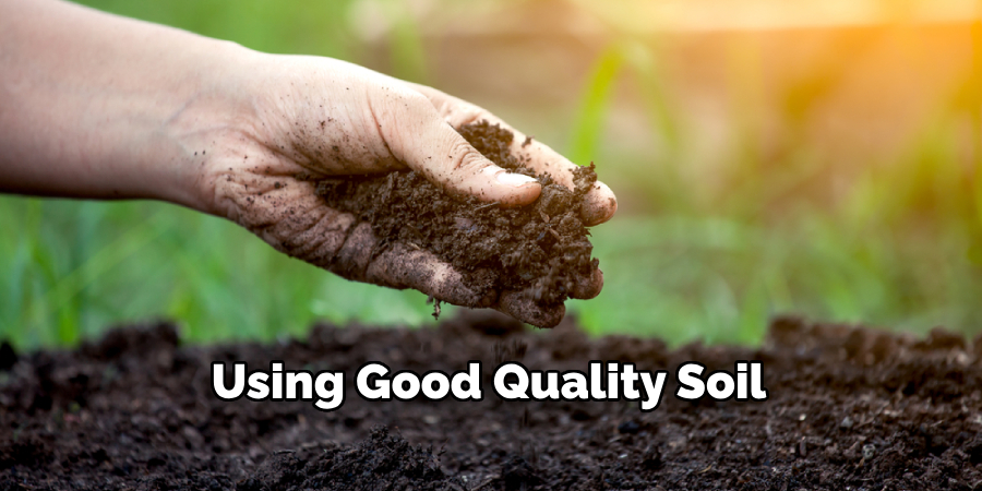 Using Good Quality Soil