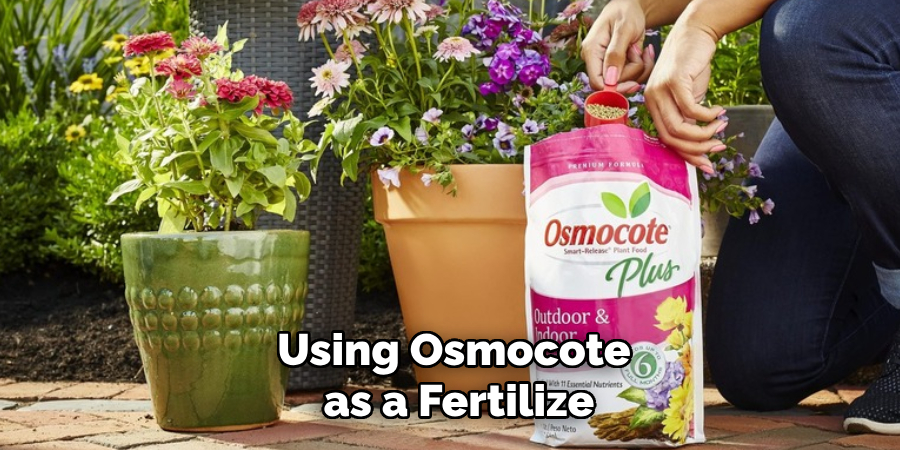 Using Osmocote as a Fertilize