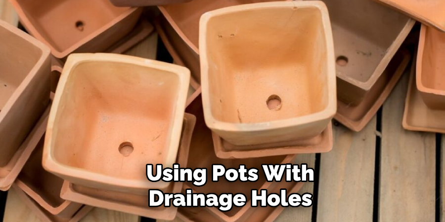 Using Pots With Drainage Holes