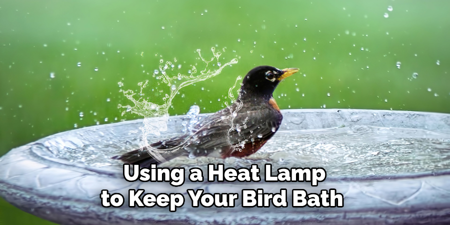 Using a Heat Lamp to Keep Your Bird Bath 