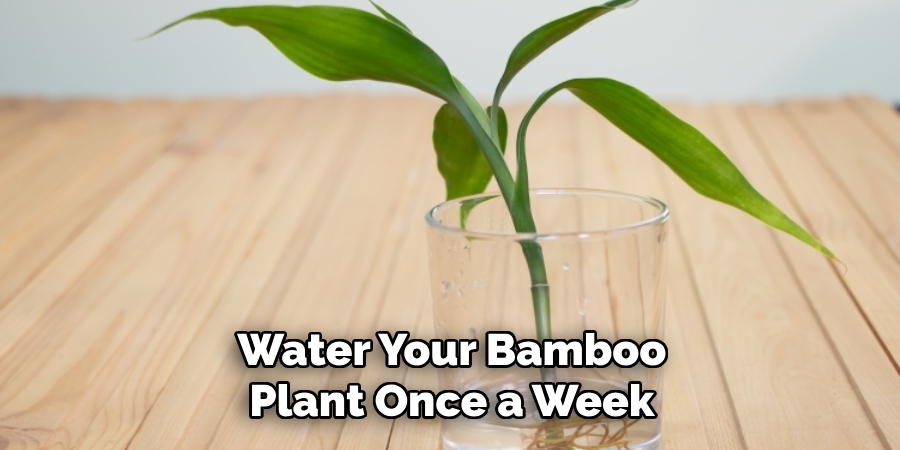 Water Your Bamboo Plant Once a Week