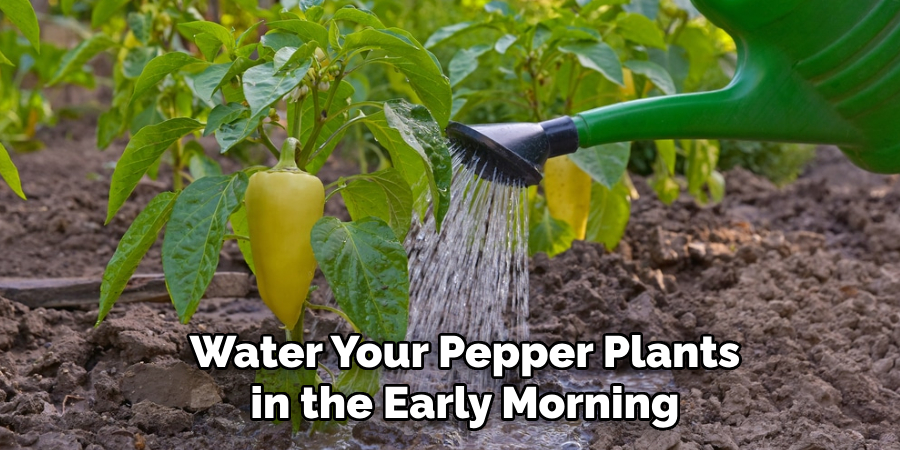 Water Your Pepper Plants in the Early Morning