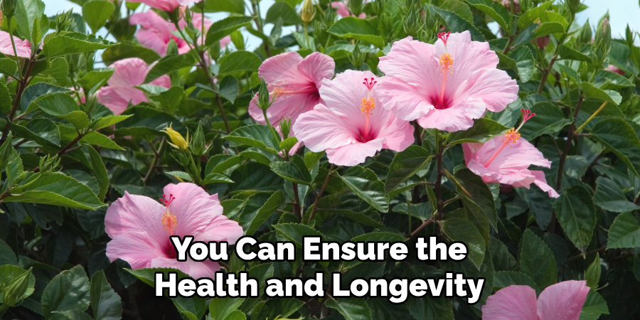 You Can Ensure the Health and Longevity