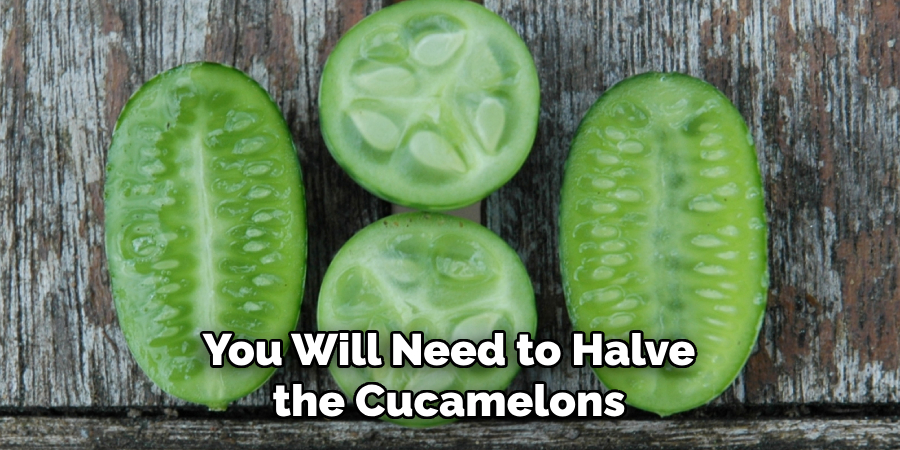 You Will Need to Halve the Cucamelons