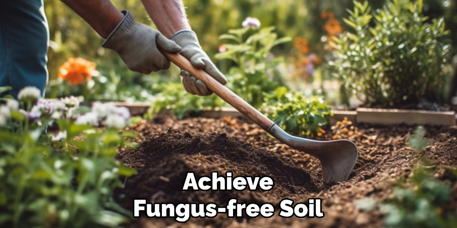 Achieve Fungus-free Soil