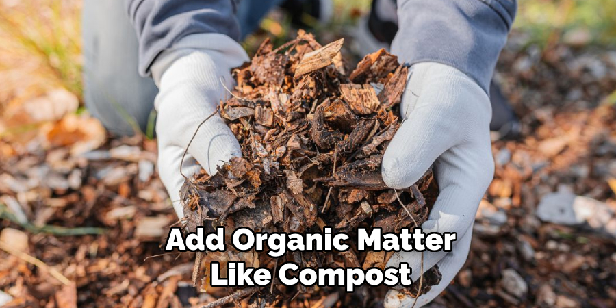 Add Organic Matter Like Compost