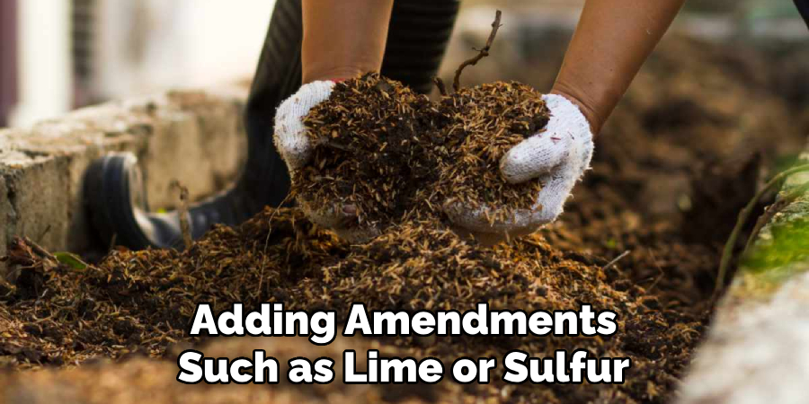 Adding Amendments Such as Lime or Sulfur