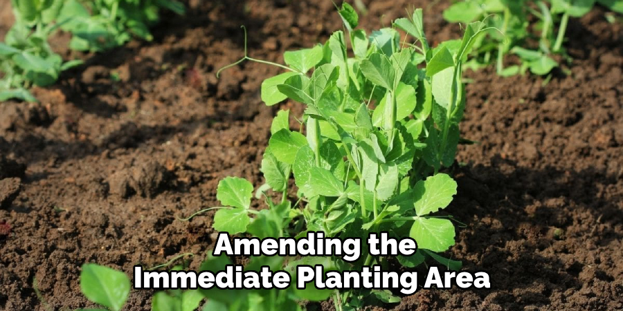  Amending the Immediate Planting Area