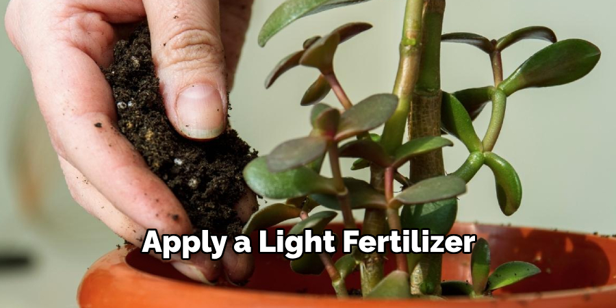 Apply a Light Fertilizer