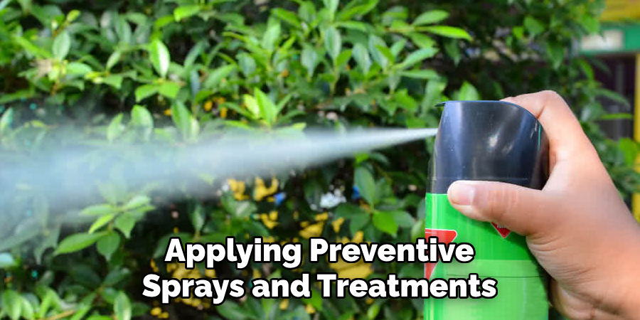 Applying Preventive Sprays and Treatments