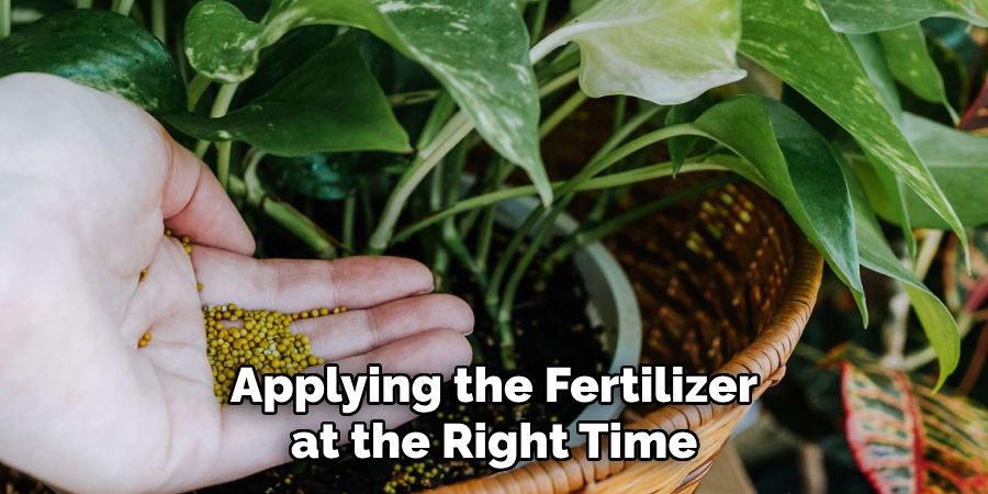 Applying the Fertilizer at the Right Time