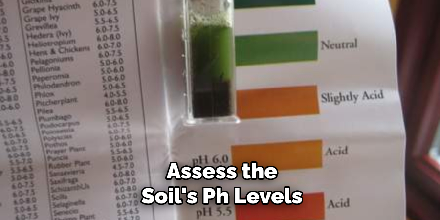 Assess the Soil's Ph Levels