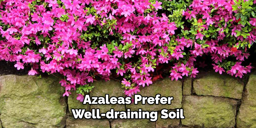 Azaleas Prefer Well-draining Soil