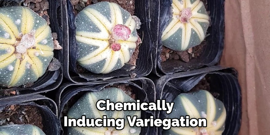 Chemically Inducing Variegation