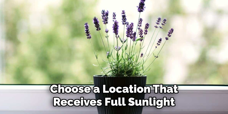 Choose a Location That Receives Full Sunlight