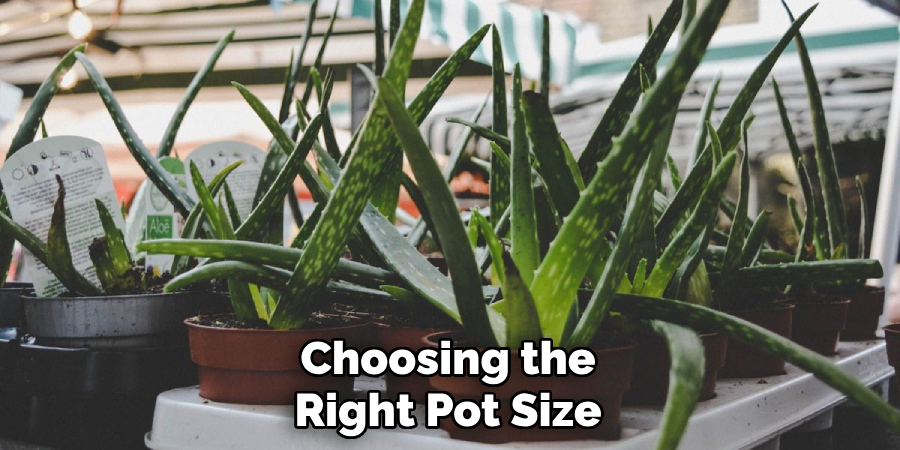 Choosing the Right Pot Size