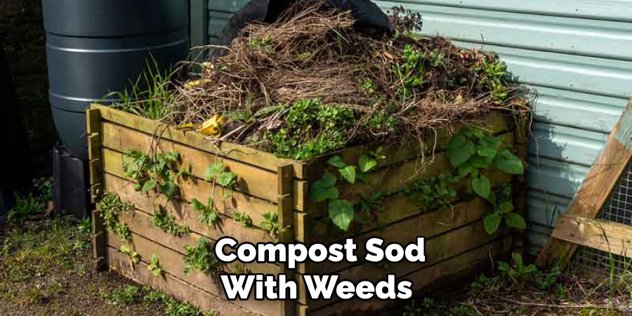  Compost Sod With Weeds