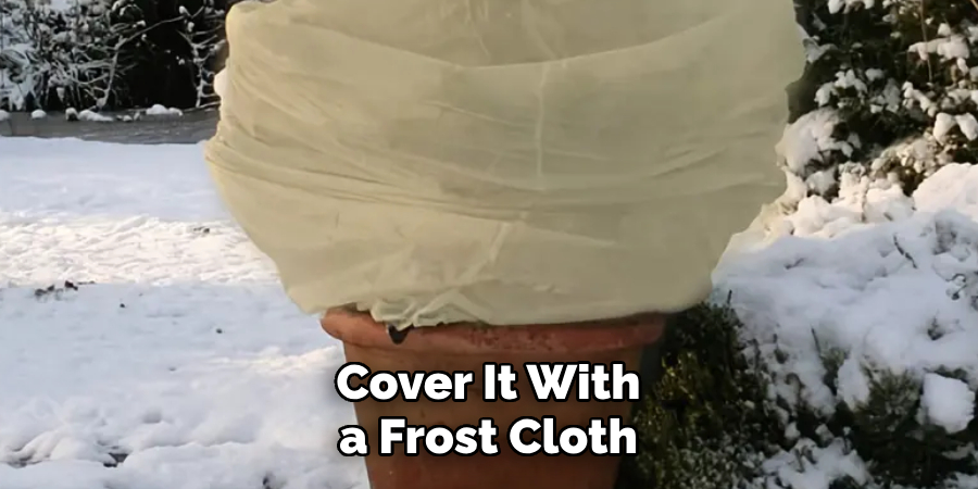 Cover It With a Frost Cloth