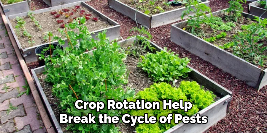 Crop Rotation Help Break the Cycle of Pests