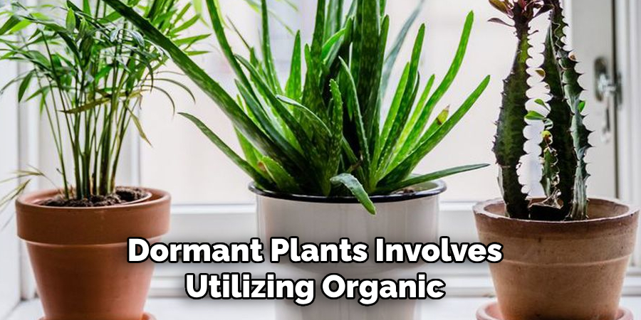 Dormant Plants Involves Utilizing Organic