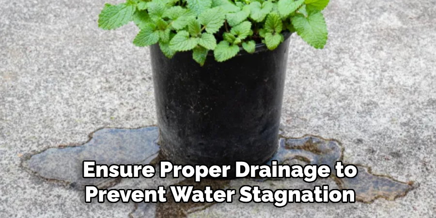 Ensure Proper Drainage to Prevent Water Stagnation
