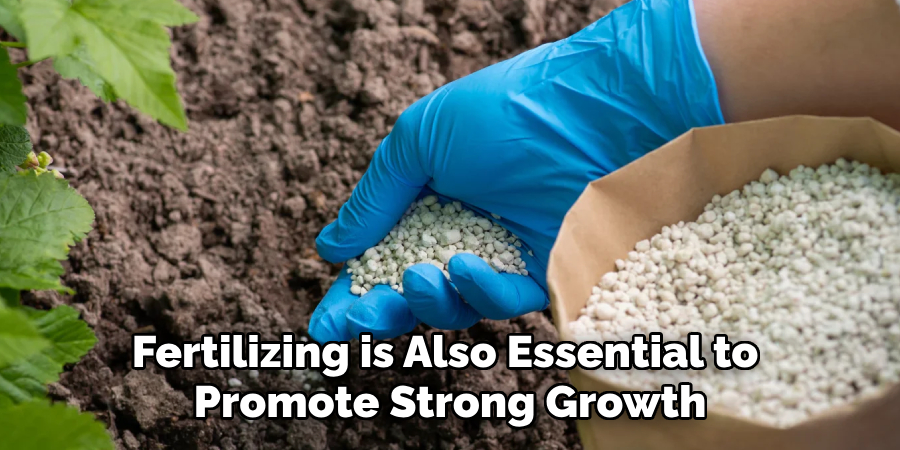 Fertilizing is Also Essential to 
Promote Strong Growth