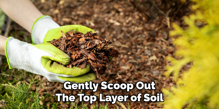 Gently Scoop Out
The Top Layer of Soil