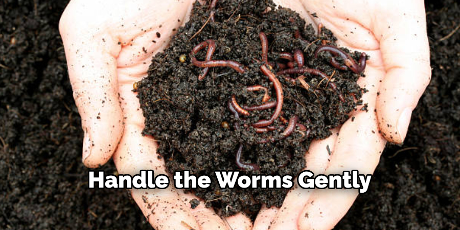 Handle the Worms Gently