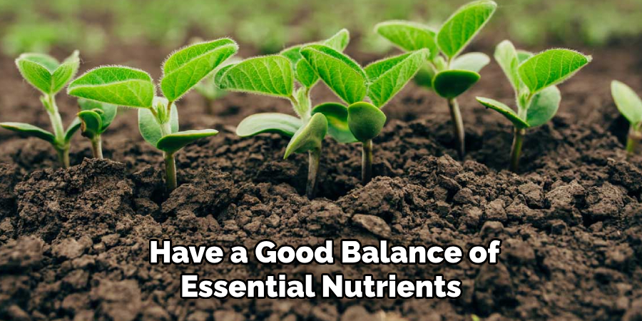  Have a Good Balance of
Essential Nutrients