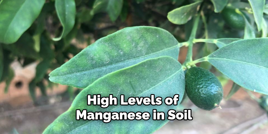 High Levels of Manganese in Soil