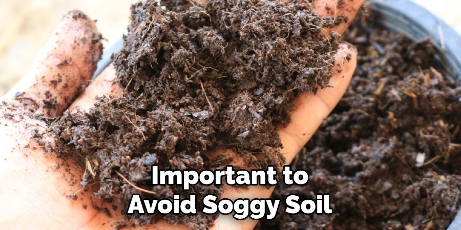 Important to Avoid Soggy Soil