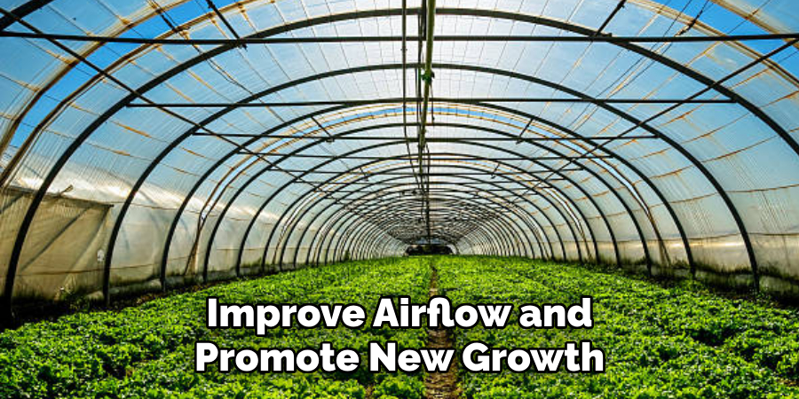 Improve Airflow and Promote New Growth