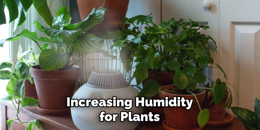 Increasing Humidity for Plants