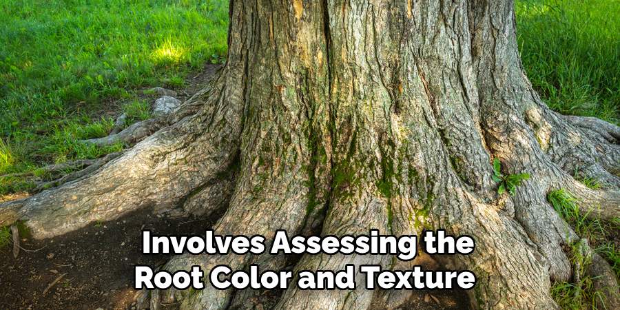 Involves Assessing the Root Color and Texture