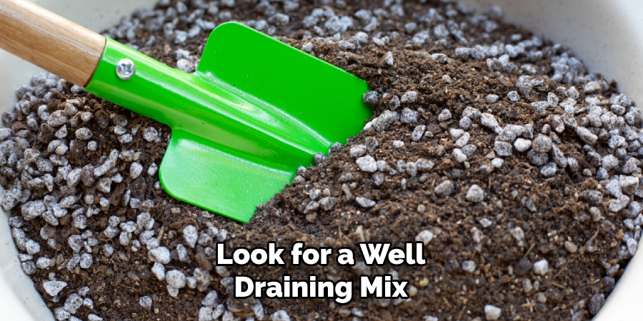 Look for a Well Draining Mix