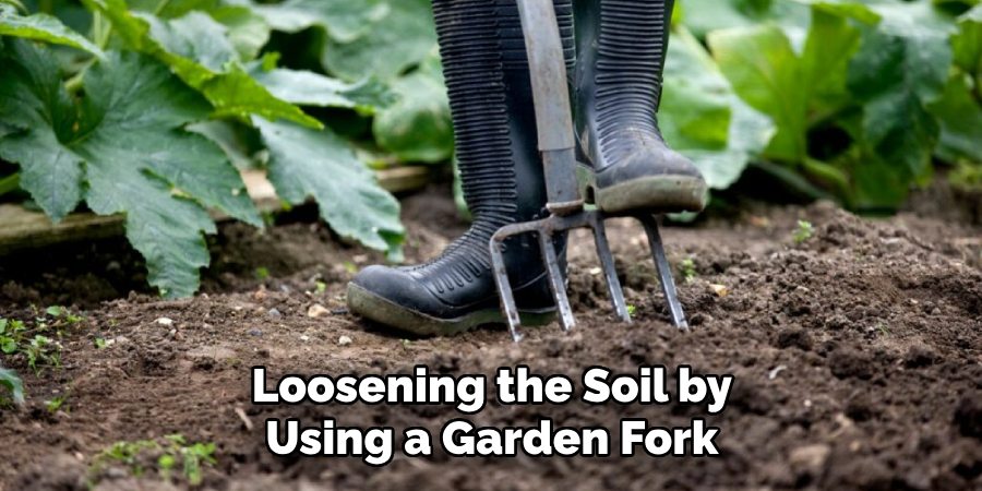 Loosening the Soil by Using a Garden Fork