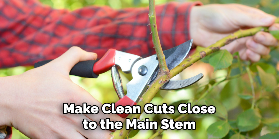 Make Clean Cuts Close to the Main Stem
