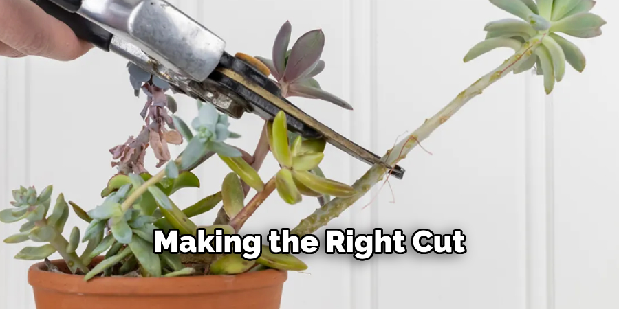 Making the Right Cut