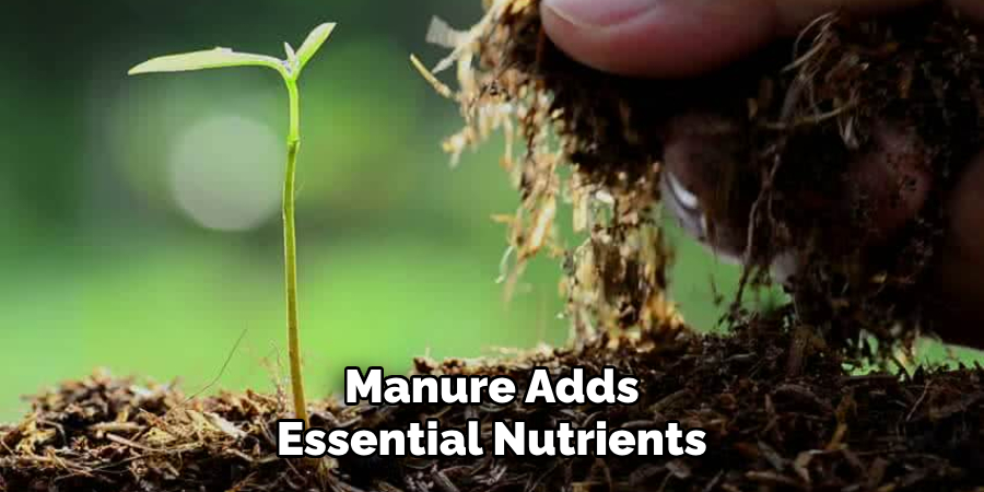 Manure Adds Essential Nutrients