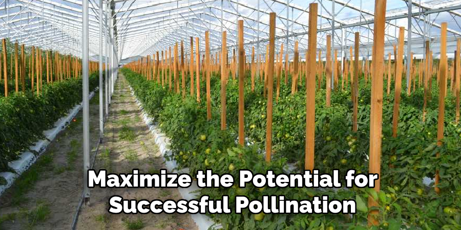 Maximize the Potential for Successful Pollination