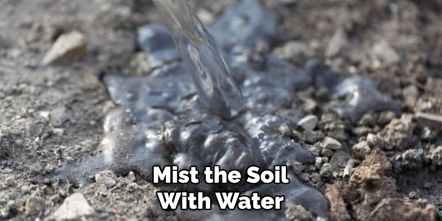 Mist the Soil With Water