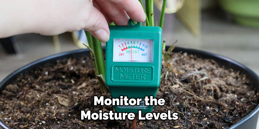 Monitor the Moisture Levels