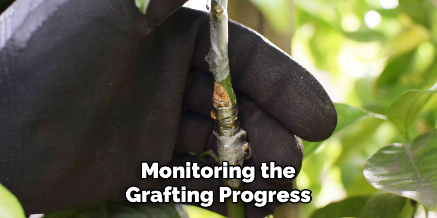 Monitoring the Grafting Progress