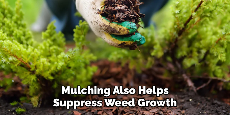 Mulching Also Helps Suppress Weed Growth