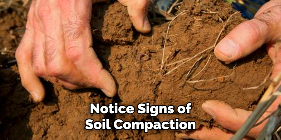 Notice Signs of Soil Compaction