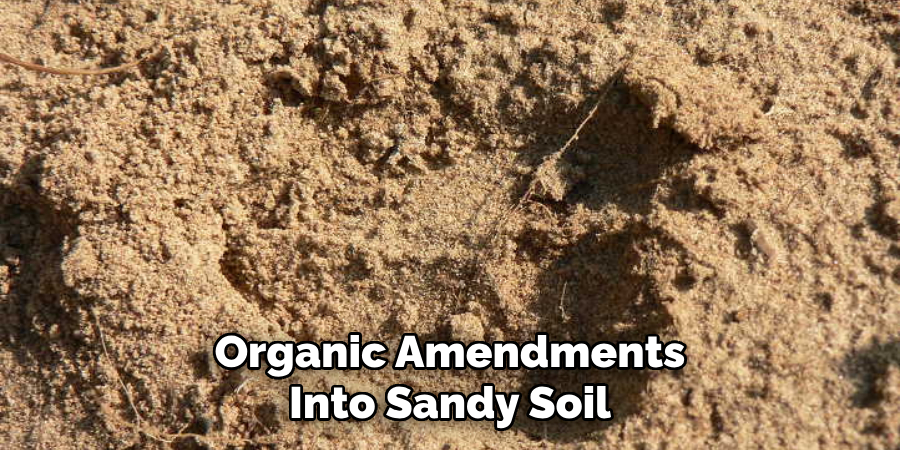 Organic Amendments Into Sandy Soil