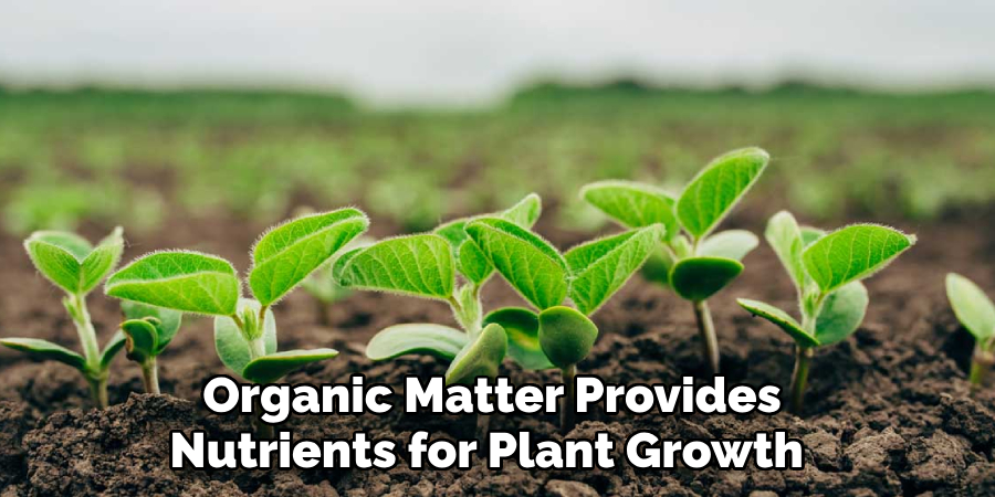 Organic Matter Provides 
Nutrients for Plant Growth  